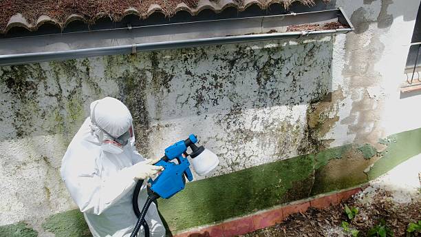 Top rated local Commercial Mold Remediation specialists in Gig Harbor, WA